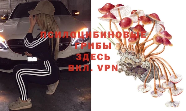 синтетический гашиш Заволжск