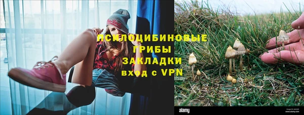 jwh Зеленокумск