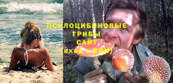Альфа ПВП Зерноград